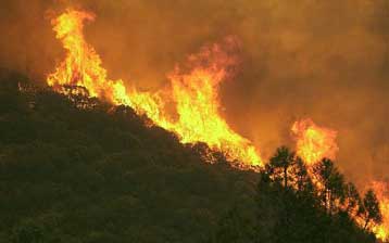 Πρώτα αποτελέσματα στη μάχη με τις φλόγες μετά τις πολυήμερες καταστροφές