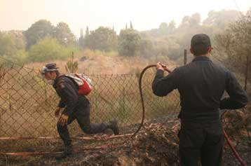 Σε ύφεση οι πυρκαγιές στην Πελοπόννησο - Στους 65 ο αριθμός των νεκρών