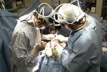 Καλλιεργημένες ανθρώπινες βαλβίδες «πραγματικότητα σε πέντε χρόνια»