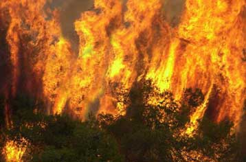 Διάσπαρτες μικροεστίες στην Πελοπόννησο, νέα πυρκαγιά στην Πρέβεζα
