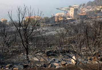 Νέα πυρκαγιά ξέσπασε στο Οίτυλο Λακωνίας