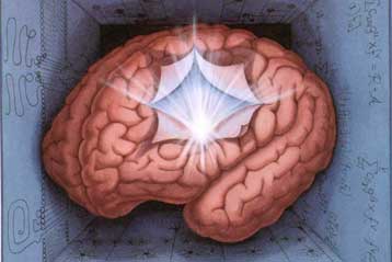 Συντηρητικοί και προοδευτικοί έχουν διαφορετικό εγκέφαλο