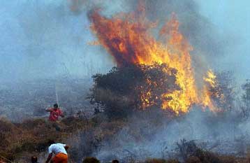 Στον εισαγγελέα 32χρονος που ομολόγησε εννέα εμπρησμούς στην Αργολίδα