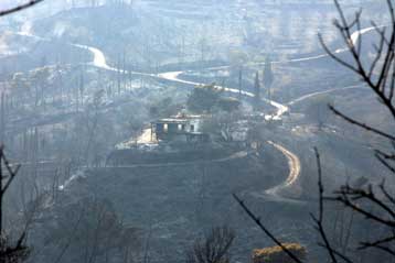 Ακύρωση της απόφασης για αξιοποίηση των καμένων στη Ζαχάρω προανήγγειλε το ΠΑΣΟΚ