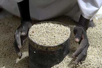 Παγκόσμια Ημέρα για το Νταρφούρ με διαδηλώσεις σε 30 χώρες