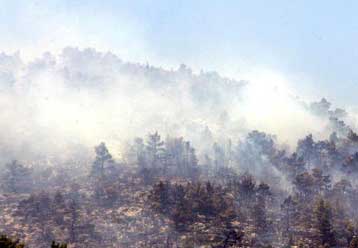 Νέες φωτιές σε περιοχές της Καστοριάς και των Τρικάλων