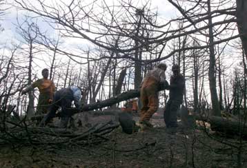 Σύσκεψη για επίσπευση των αντιπλημμυρικών έργων στην Τρίπολη