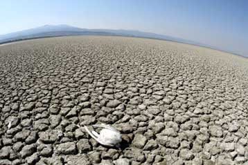 Ελλείψεις επικαλείται ο Π.Ψωμιάδης για την καταστροφή στη λίμνη Κορώνεια
