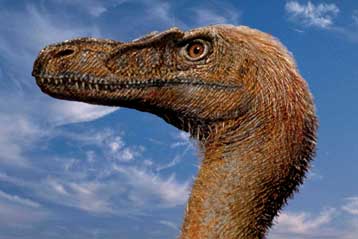 Ο τρομερός velociraptor ήταν καλυμμένος με φτερά
