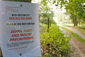 Και έκτο κρούσμα αφθώδους πυρετού επιβεβαιώθηκε στη Βρετανία