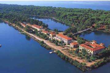 Απολογισμό της καταστροφής στην Πελοπόννησο παρουσίασε η WWF