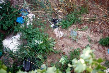 Επείγουσα προκαταρκτική εξέταση για τη μόλυνση του ποταμού Ασωπού