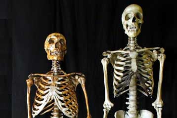 Στο κατώφλι της Κίνας είχε φτάσει ο άνθρωπος του Νεάντερταλ