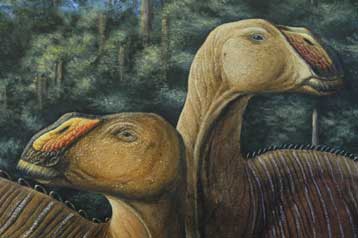 Φυτοφάγος δεινόσαυρος ήταν σαν πάπια με 300 δόντια