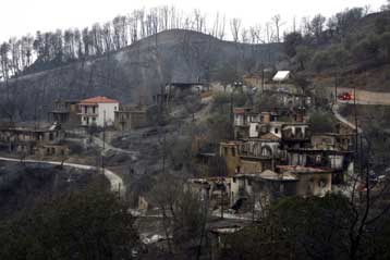 Τοξική απειλή στις καμμένες περιοχές της Πελόποννήσου