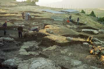 Στο φως απολιθωμένος βάλτος ηλικίας 20 εκατ. ετών στα Γρεβενά