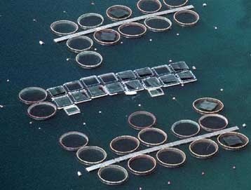 Υποχρεωτική δημόσια πρόταση της Σελόντα για τον Περσέα στα 1,99 ευρώ/μετοχή