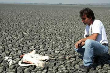 Απειλή για τη Βόλβη η σύνδεσή της με την μολυσμένη Κορώνεια