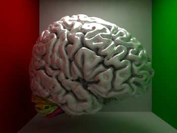 Περιοχή υπεύθυνη για την αισιοδοξία εντοπίστηκε στον εγκέφαλο