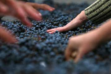 Διατηρεί η Βρετανία τους περιορισμούς σε απορρόφηση εργατών από Ρουμανία και Βουλγαρία