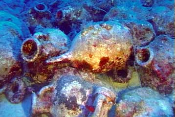 Γενετικές αναλύσεις αποκαλύπτουν το περιεχόμενο αρχαίων αμφορέων