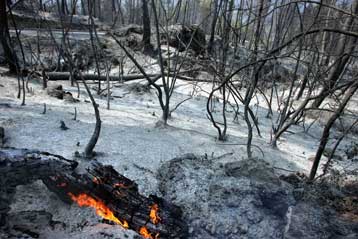 Απαγορεύτηκε το κυνήγι σε όλη την Ελλάδα λόγω των καταστροφικών πυρκαγιών