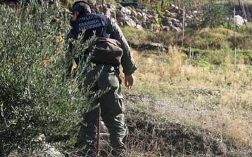 «Ξεσκόνισμα» των δικογραφιών για υποθέσεις ναρκωτικών στην Κρήτη ζητά ο Γ.Σανιδάς