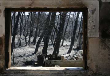 Αναδασωτέα κηρύχθηκαν 4.500 στρέμματα στην Πεντέλη