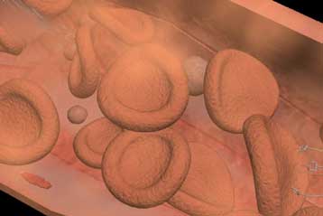 Γονιδιακή θεραπεία της μεσογειακής αναιμίας δοκιμάζεται στη Θεσσαλονίκη