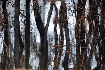 Στα 650 εκατ. ευρώ το κόστος αποκατάστασης των πυρόπληκτων περιοχών