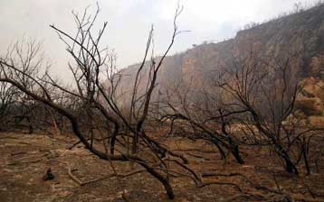 Αντιπλημμυρικά και αντιδιαβρωτικά έργα μόλις στο 5% των καμένων περιοχών