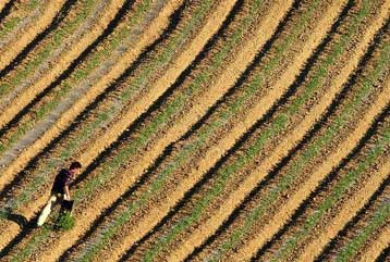 Τις προτάσεις της για τις αλλαγές στην Κοινή Αγροτική Πολιτική παρουσίασε η Κομισιόν