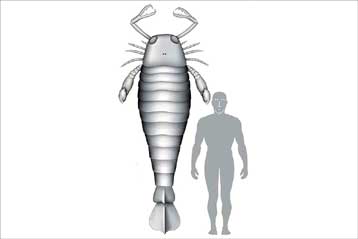 Προϊστορικός σκορπιός ήταν μεγαλύτερος από άνθρωπο