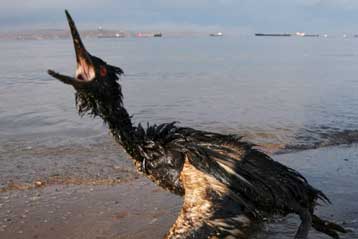 Θείο άρχισε να διαρρέει από τα ναυάγια στη Μαύρη Θάλασσα