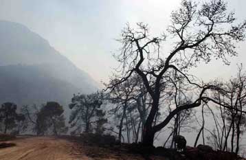 Υπεγράφη η τροπολογία για τις κατεδαφίσεις σε αναδασωτέες εκτάσεις