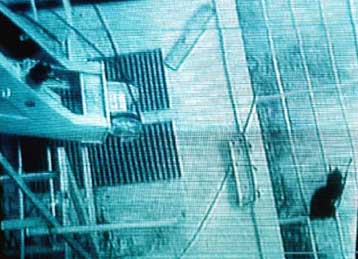 Εισαγγελική άρνηση στην αίτηση αναίρεσης των ποινών του πληρώματος του «Σαμίνα»