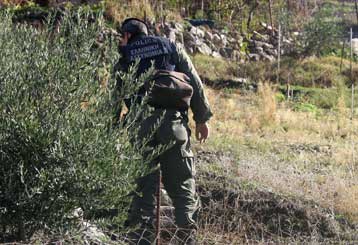 Χηνοφώτης κατά ΕΛ.ΑΣ. για επιχειρήσεις – φιάσκο το καλοκαίρι στα Ζωνιανά