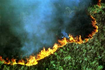 Παλινωδίες της Αυστραλίας για τη μείωση που εξήγγειλε στις εκπομπές αερίων θερμοκηπίου