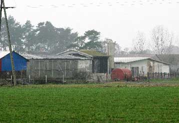 Ο ιός Η5Ν1 της γρίπης των πτηνών εντοπίστηκε σε οικόσιτα πουλερικά στη Γερμανία