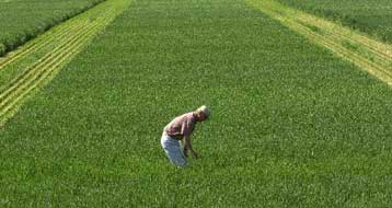 Αλλεπάλληλα ρεκόρ σημειώνουν οι τιμές των αγροτικών εμπορευμάτων στις διεθνείς αγορές