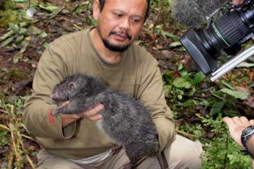 Δύο νέα θηλαστικά ανακαλύφθηκαν στον «χαμένο κόσμο» της Παπούα