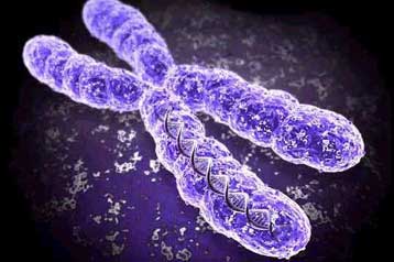 Γενετικό πείραμα διορθώνει συχνή μορφή αυτισμού