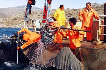 Έναρξη διαδικασιών συγχώνευσης από τον Νηρέα με απορρόφηση της Kego