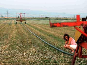 Μείωση αγροτικού εισοδήματος το 2007