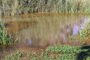 Προβλήματα με το πόσιμο νερό στην Αργολίδα μετά το σεισμό των 6,5 Ρίχτερ