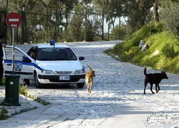 Εξάρθρωση κυκλώματος κοκαΐνης στα Τρίκαλα με «δίχτυα» και σε άλλες πόλεις