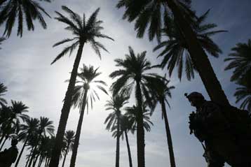 H Ευρωπαϊκή Ένωση αλλάζει γνώμη για τα βιοκαύσιμα