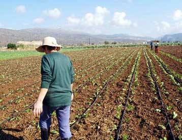 Προβληματισμός στο υπουργείο Αγροτικής Ανάπτυξης για τις κοινοτικές επιδοτήσεις
