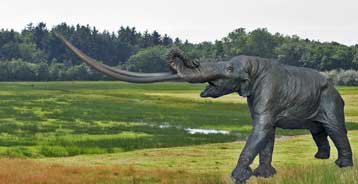 Προϊστορικό παχύδερμο επιστρέφει στα Γρεβενά