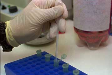 Προσωπικά γενετικά προφίλ προσφέρει εταιρεία με στήριξη της Google